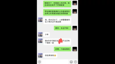 极品车模偷情