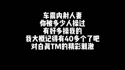 很多人都操过我40个有了吧对白绝了车震内射人妻